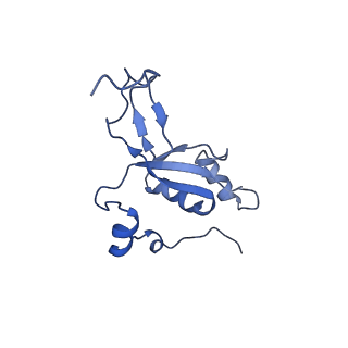 15544_8any_Z_v2-1
Human mitochondrial ribosome in complex with LRPPRC, SLIRP, A-site, P-site, E-site tRNAs and mRNA