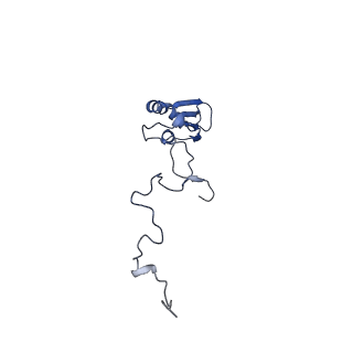 15544_8any_b_v1-0
Human mitochondrial ribosome in complex with LRPPRC, SLIRP, A-site, P-site, E-site tRNAs and mRNA