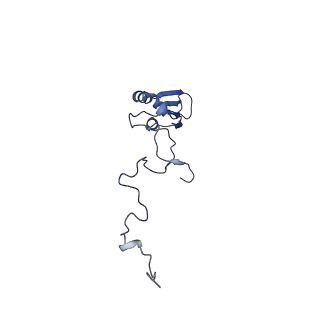 15544_8any_b_v2-1
Human mitochondrial ribosome in complex with LRPPRC, SLIRP, A-site, P-site, E-site tRNAs and mRNA