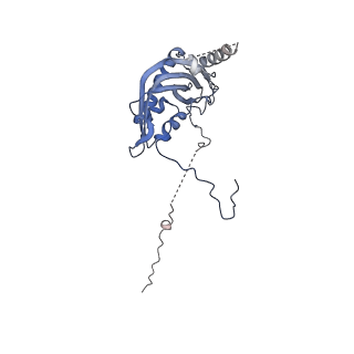 15544_8any_d_v1-0
Human mitochondrial ribosome in complex with LRPPRC, SLIRP, A-site, P-site, E-site tRNAs and mRNA