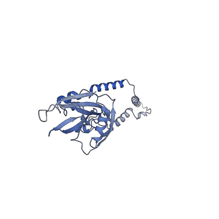 15544_8any_e_v2-1
Human mitochondrial ribosome in complex with LRPPRC, SLIRP, A-site, P-site, E-site tRNAs and mRNA