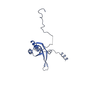 15544_8any_f_v1-0
Human mitochondrial ribosome in complex with LRPPRC, SLIRP, A-site, P-site, E-site tRNAs and mRNA