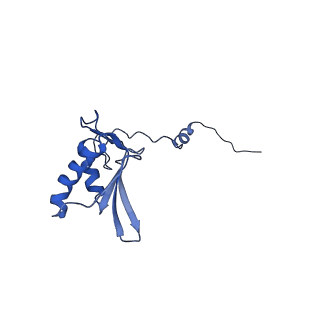 15544_8any_g_v1-0
Human mitochondrial ribosome in complex with LRPPRC, SLIRP, A-site, P-site, E-site tRNAs and mRNA