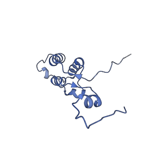 15544_8any_h_v1-0
Human mitochondrial ribosome in complex with LRPPRC, SLIRP, A-site, P-site, E-site tRNAs and mRNA