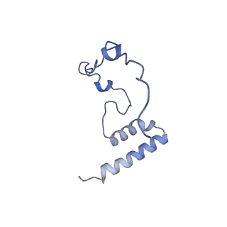 15544_8any_i_v1-0
Human mitochondrial ribosome in complex with LRPPRC, SLIRP, A-site, P-site, E-site tRNAs and mRNA