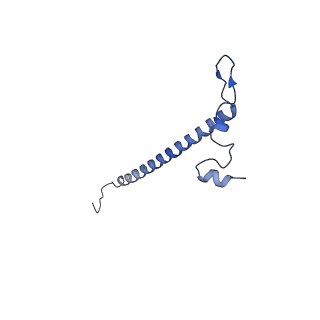 15544_8any_j_v1-0
Human mitochondrial ribosome in complex with LRPPRC, SLIRP, A-site, P-site, E-site tRNAs and mRNA