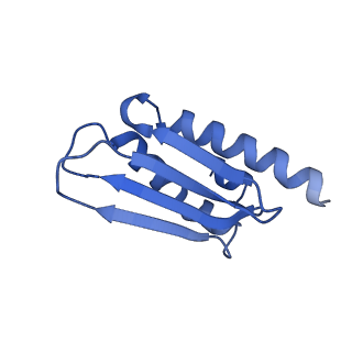 15544_8any_k_v1-0
Human mitochondrial ribosome in complex with LRPPRC, SLIRP, A-site, P-site, E-site tRNAs and mRNA