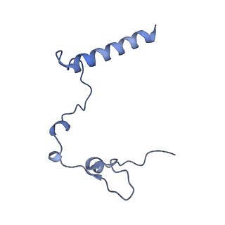 15544_8any_l_v1-0
Human mitochondrial ribosome in complex with LRPPRC, SLIRP, A-site, P-site, E-site tRNAs and mRNA