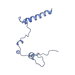 15544_8any_l_v2-1
Human mitochondrial ribosome in complex with LRPPRC, SLIRP, A-site, P-site, E-site tRNAs and mRNA