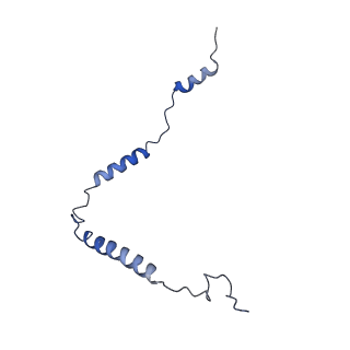 15544_8any_o_v1-0
Human mitochondrial ribosome in complex with LRPPRC, SLIRP, A-site, P-site, E-site tRNAs and mRNA