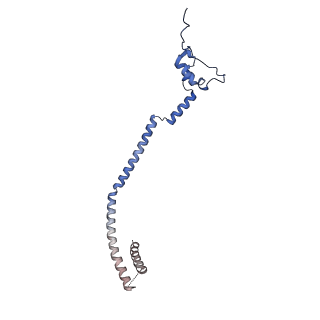 15544_8any_q_v2-1
Human mitochondrial ribosome in complex with LRPPRC, SLIRP, A-site, P-site, E-site tRNAs and mRNA