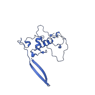 15544_8any_r_v2-1
Human mitochondrial ribosome in complex with LRPPRC, SLIRP, A-site, P-site, E-site tRNAs and mRNA