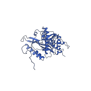 15544_8any_s_v1-0
Human mitochondrial ribosome in complex with LRPPRC, SLIRP, A-site, P-site, E-site tRNAs and mRNA