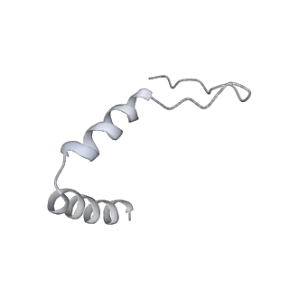 15544_8any_t_v1-0
Human mitochondrial ribosome in complex with LRPPRC, SLIRP, A-site, P-site, E-site tRNAs and mRNA