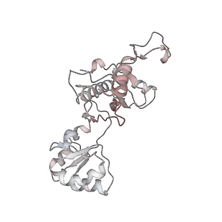 15544_8any_z_v1-0
Human mitochondrial ribosome in complex with LRPPRC, SLIRP, A-site, P-site, E-site tRNAs and mRNA