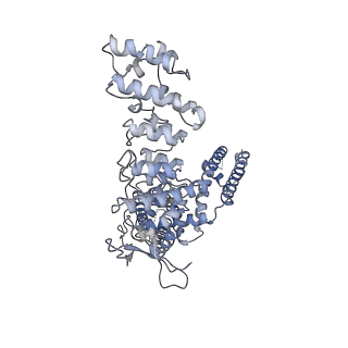 6455_5an8_A_v1-4
Cryo-electron microscopy structure of rabbit TRPV2 ion channel