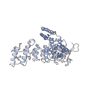 6455_5an8_B_v1-4
Cryo-electron microscopy structure of rabbit TRPV2 ion channel