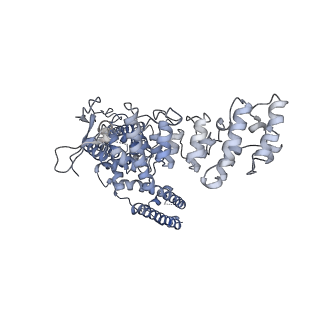 6455_5an8_C_v1-4
Cryo-electron microscopy structure of rabbit TRPV2 ion channel