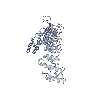 6455_5an8_D_v1-4
Cryo-electron microscopy structure of rabbit TRPV2 ion channel