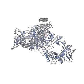 11841_7aod_A_v1-0
Schizosaccharomyces pombe RNA polymerase I (dimer)
