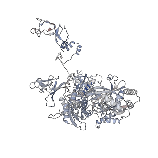 11841_7aod_B_v1-0
Schizosaccharomyces pombe RNA polymerase I (dimer)