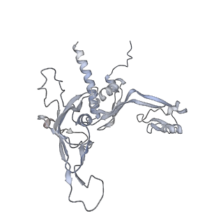 11841_7aod_C_v1-0
Schizosaccharomyces pombe RNA polymerase I (dimer)