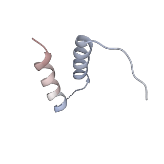 11841_7aod_D_v1-0
Schizosaccharomyces pombe RNA polymerase I (dimer)