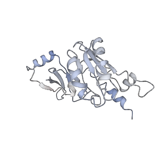 11841_7aod_E_v1-0
Schizosaccharomyces pombe RNA polymerase I (dimer)