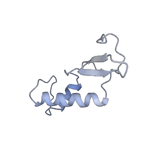 11841_7aod_F_v1-0
Schizosaccharomyces pombe RNA polymerase I (dimer)