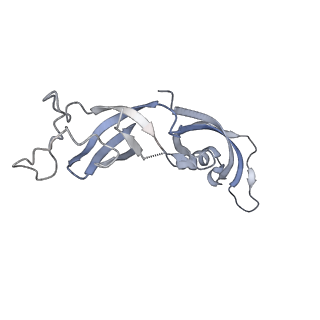 11841_7aod_G_v1-0
Schizosaccharomyces pombe RNA polymerase I (dimer)
