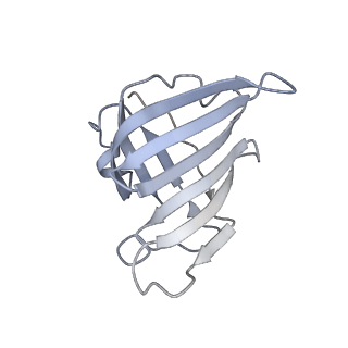 11841_7aod_H_v1-0
Schizosaccharomyces pombe RNA polymerase I (dimer)