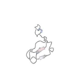 11841_7aod_I_v1-0
Schizosaccharomyces pombe RNA polymerase I (dimer)