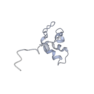 11841_7aod_J_v1-0
Schizosaccharomyces pombe RNA polymerase I (dimer)