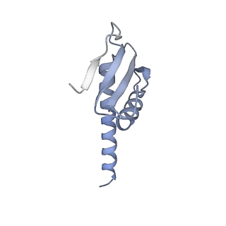 11841_7aod_K_v1-0
Schizosaccharomyces pombe RNA polymerase I (dimer)