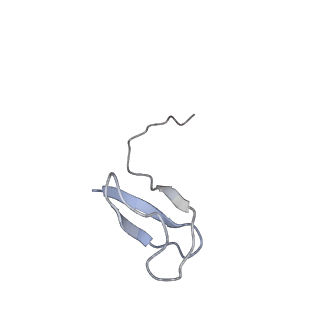 11841_7aod_L_v1-0
Schizosaccharomyces pombe RNA polymerase I (dimer)
