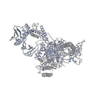11841_7aod_M_v1-0
Schizosaccharomyces pombe RNA polymerase I (dimer)