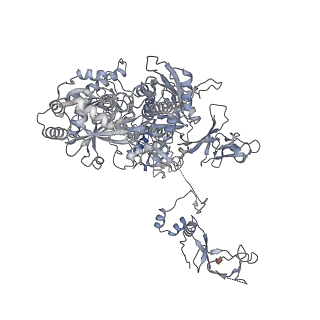 11841_7aod_N_v1-0
Schizosaccharomyces pombe RNA polymerase I (dimer)