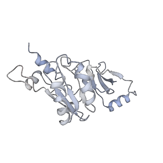 11841_7aod_Q_v1-0
Schizosaccharomyces pombe RNA polymerase I (dimer)