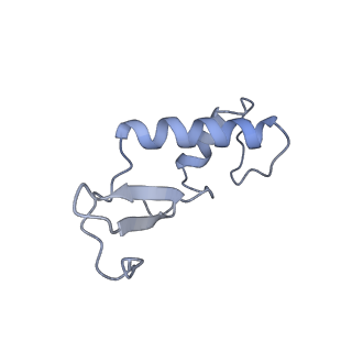 11841_7aod_R_v1-0
Schizosaccharomyces pombe RNA polymerase I (dimer)