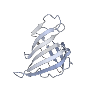 11841_7aod_T_v1-0
Schizosaccharomyces pombe RNA polymerase I (dimer)