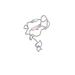 11841_7aod_U_v1-0
Schizosaccharomyces pombe RNA polymerase I (dimer)