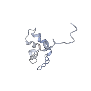 11841_7aod_V_v1-0
Schizosaccharomyces pombe RNA polymerase I (dimer)