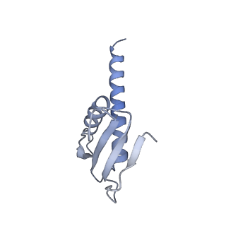 11841_7aod_W_v1-0
Schizosaccharomyces pombe RNA polymerase I (dimer)
