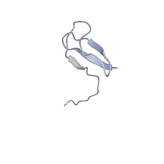 11841_7aod_X_v1-0
Schizosaccharomyces pombe RNA polymerase I (dimer)