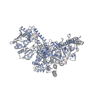11842_7aoe_A_v1-0
Schizosaccharomyces pombe RNA polymerase I (elongation complex)