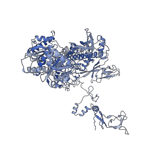 11842_7aoe_B_v1-0
Schizosaccharomyces pombe RNA polymerase I (elongation complex)