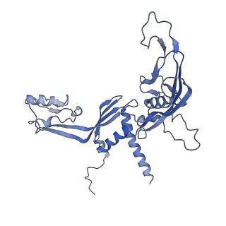 11842_7aoe_C_v1-0
Schizosaccharomyces pombe RNA polymerase I (elongation complex)