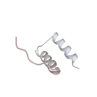 11842_7aoe_D_v1-0
Schizosaccharomyces pombe RNA polymerase I (elongation complex)