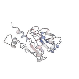 11842_7aoe_E_v1-0
Schizosaccharomyces pombe RNA polymerase I (elongation complex)