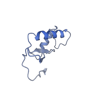 11842_7aoe_F_v1-0
Schizosaccharomyces pombe RNA polymerase I (elongation complex)